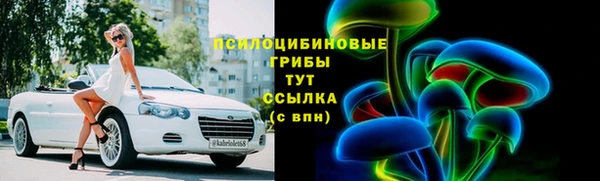 бошки Алексин