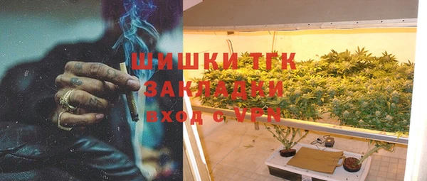 бошки Алексин