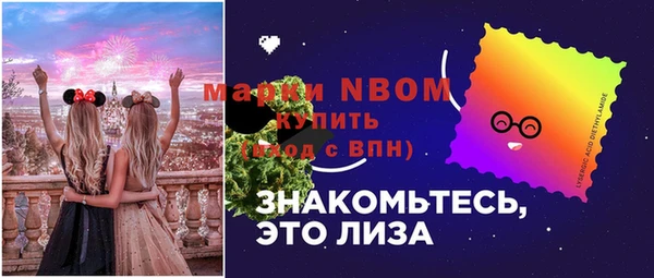 бошки Алексин