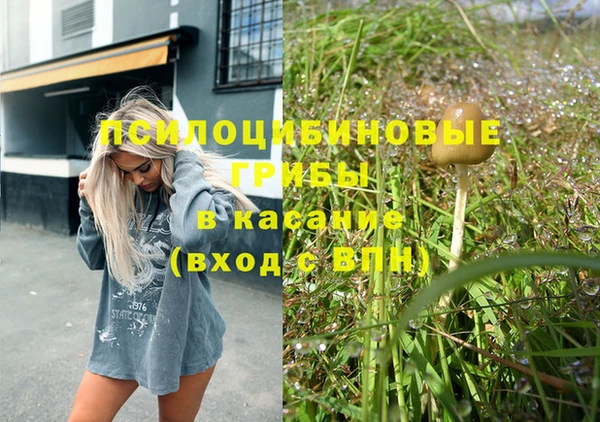 шишки Абдулино