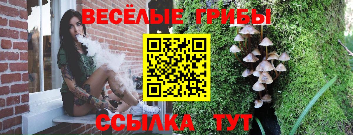 Галлюциногенные грибы Cubensis  Вход с VPN  Новотроицк 