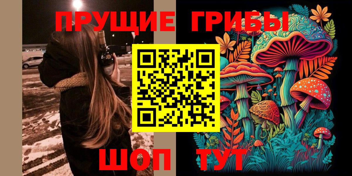 Галлюциногенные грибы GOLDEN TEACHER Новотроицк