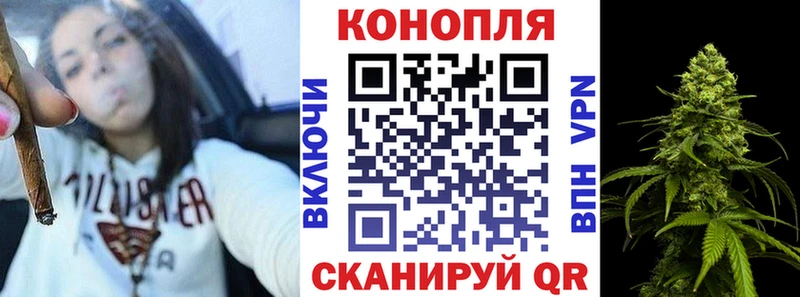 Шишки марихуана Bruce Banner Новотроицк